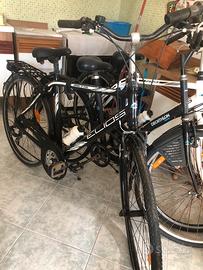 Bicicletta per adulti diametro 70