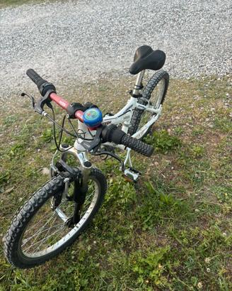 Bici bambino tg 20