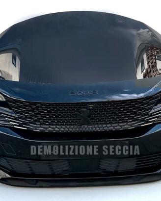 PEUGEOT 3008 2° SERIE - 2020 musata RICAMBI