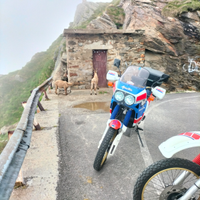 Honda Africa Twin 650 RD03 '89
