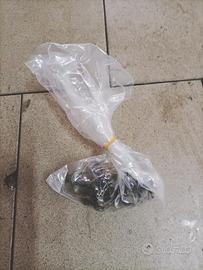 Trassmissione panda 4x4 anno 2006