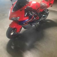 CBR 1000 RR firblad