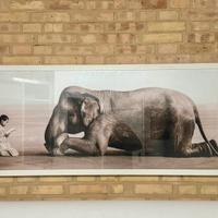 Quadro