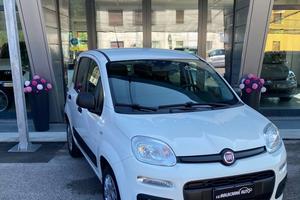 Fiat Panda 1.2 Easy 69cv E6 / SENSORI POST