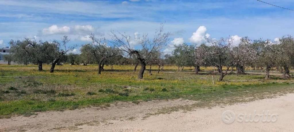 Immobile in asta di 2000 m² a Lucera - Vista 2