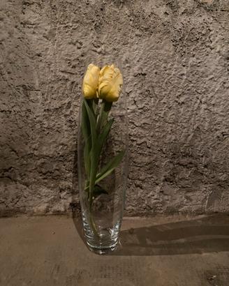 Vaso vetro trasparente