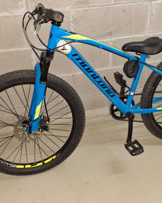 Mtb 24 polloci