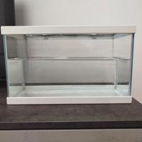 Acquario startup