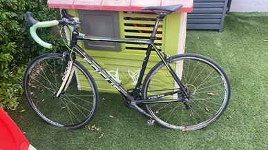Bici da strada Focus