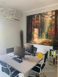 Ufficio / locale commerciale