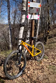 Santa Cruz Chameleon taglia M
