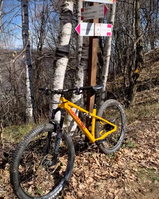 Santa Cruz Chameleon taglia M