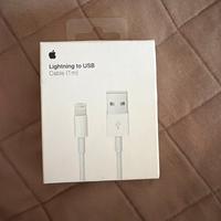 Cavo lightning apple