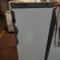 frigorifero grande Rex 