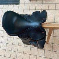 Sella x Dressage