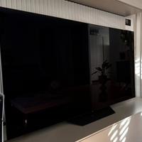 Tv Lg Oled modello OLED65B9SLA