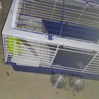 ciotolina acciaio per gatto