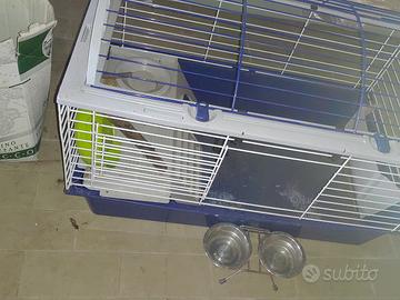 ciotolina acciaio per gatto