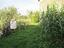 Immagine 20