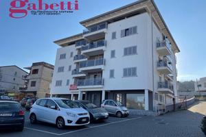 Negozio Caiazzo [47187501-9dda-44d6-8VCG]