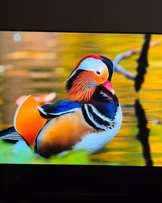 Sony  Bravia TV OLED XR-A90K 48 pollici 4k HDR