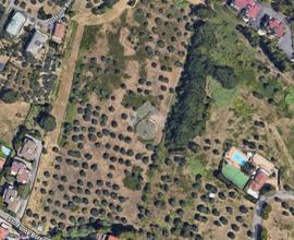 TERRENO A PESCARA