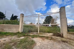 TERRENO A CARINI