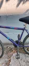 bicicletta MTB