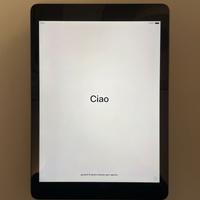 Apple iPad Air (1a Gen) A1474, 16 GB, Wi-Fi, 9.7“