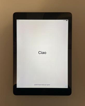 Apple iPad Air (1a Gen) A1474, 16 GB, Wi-Fi, 9.7“