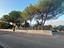 Immagine 7