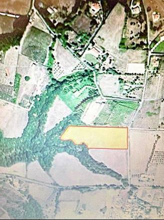 Terreno di 32900 m² a Trevignano Romano - Altro