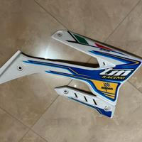 Fianchetto destro TM 2017