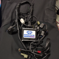 Centralina Diapason Racing, Rapidbike Yamaha R6