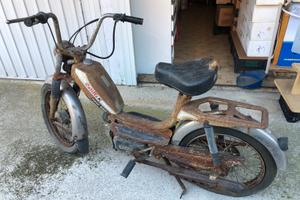 Coclomotore cc. 50 Rizzato