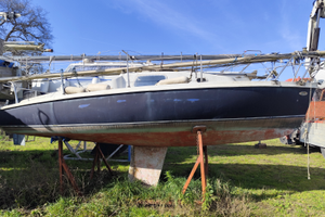 Barca da revisionare