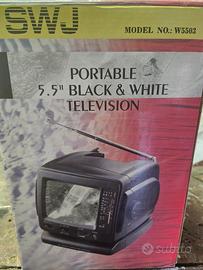 Televisione e radio portatile