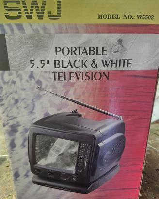 Televisione e radio portatile
