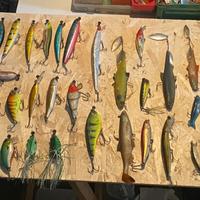 Artificiali da pesca diverse dimensioni