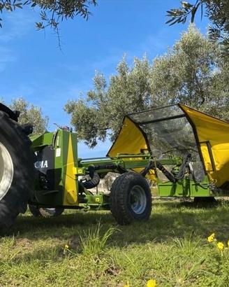 SCUOTITORE AD OMBRELLO PER ALBERI  SICMA TR80