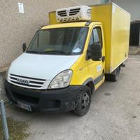 Iveco daily 35 frigorifero atp