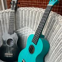 Ukulele