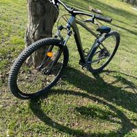 Mountain bike