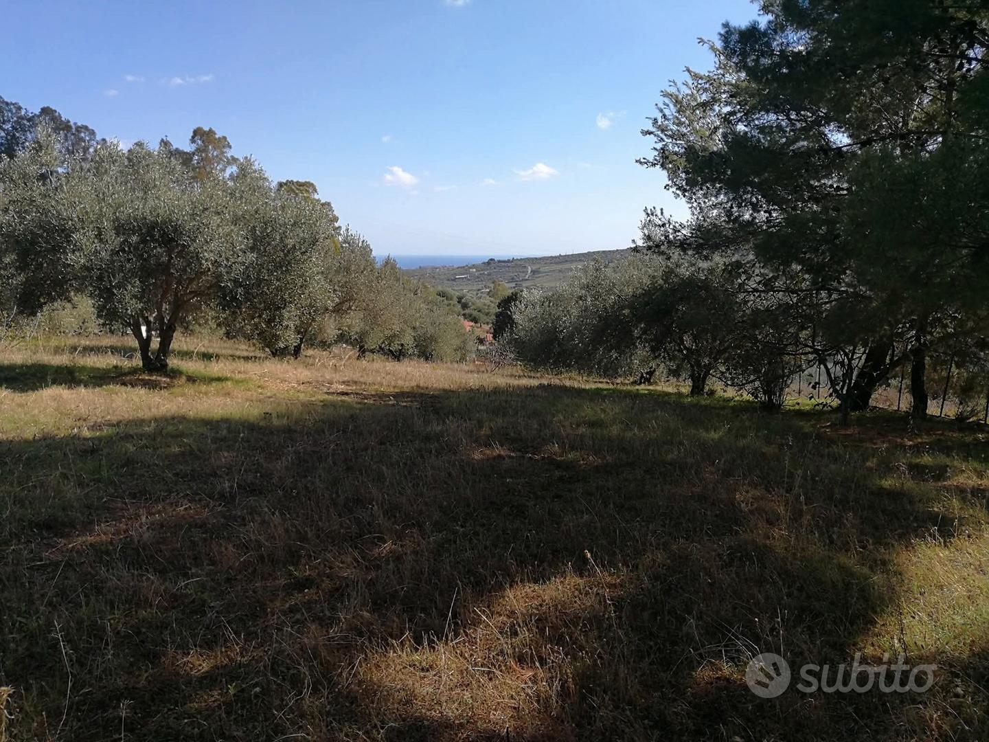Terreno agricolo 2.200 mq - Santa Flavia (Laccia), - Vista 3