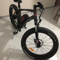 Bicicletta elettrica