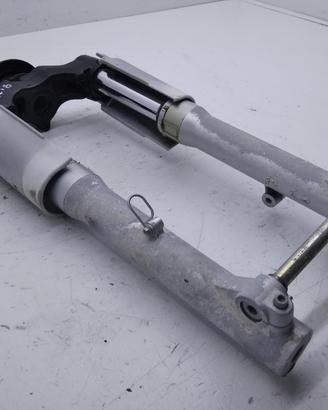 APRILIA SCARABEO ROTAX 200 FORCELLA E PARA STELI 2