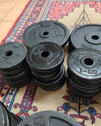 Set pesistica completo per home gym