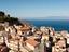 Immagine 12
