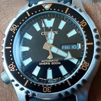 citizen promaster fugu