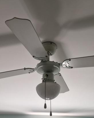 Ventilatore a Pale